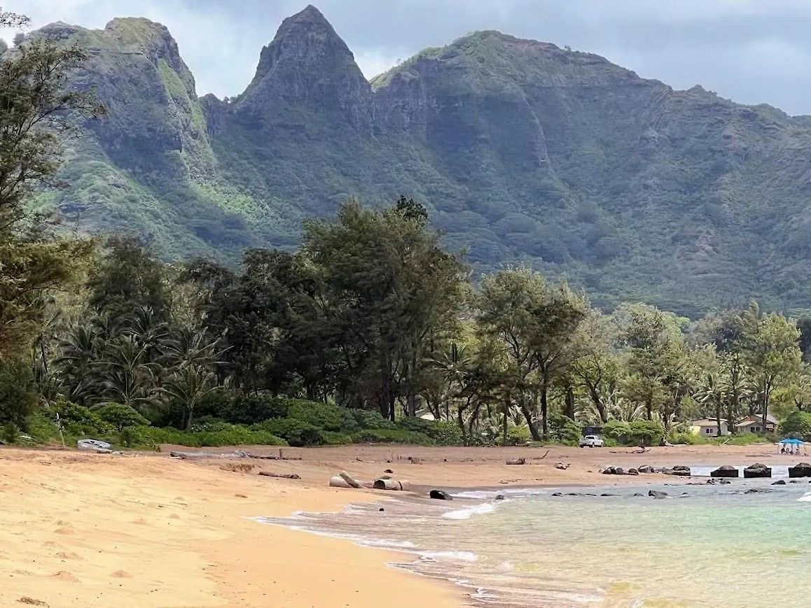 Islander On The Beach 343 Kapa'a