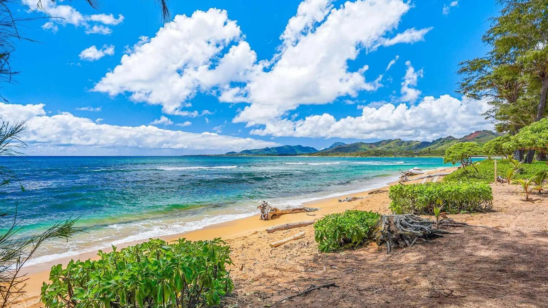 Apartment Islander On The Beach 343 Kapa'a